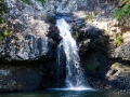 lagoon cascade kondalilla falls