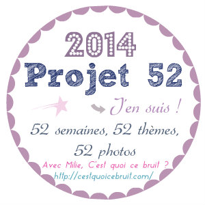 projet-52-milie-logo