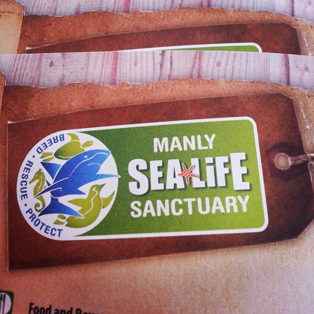 5-manly sealife sanctuary