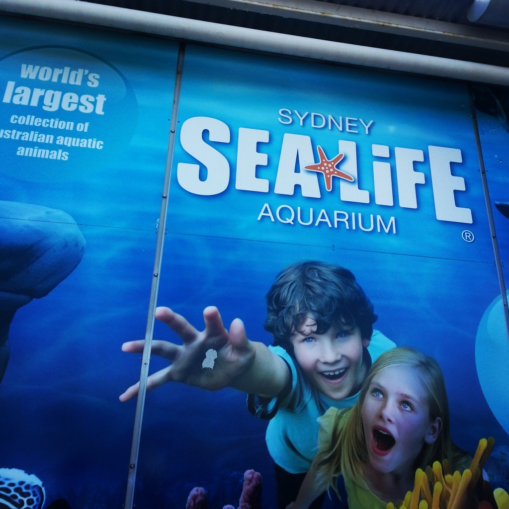 7-sealife aquarium