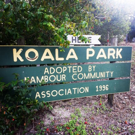 3-déjeuner en amoureux koala park