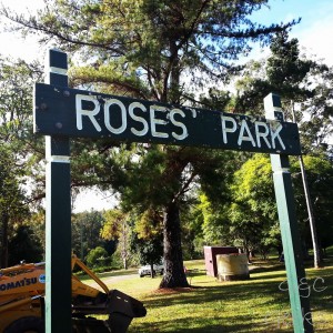 5- roses park