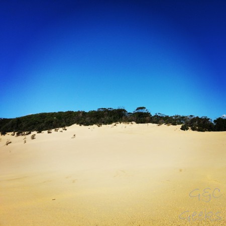 Après une petite marche de 600m à travers la forêt, on arrive sur cette gigantesque dune de sable