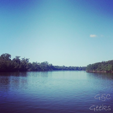 la daintree river