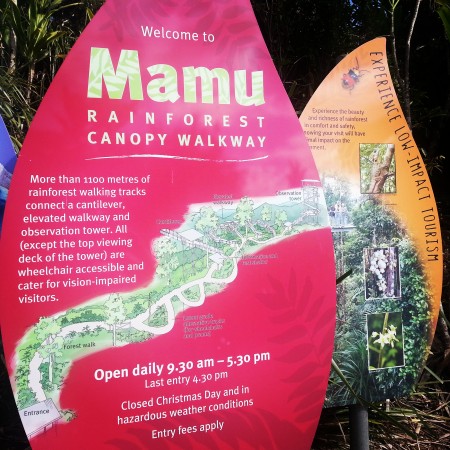 5-mamu rainforest canopy walkway