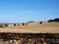 paysage-gers-22