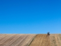 paysage-gers