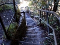 katoomba falls balade escalier de la mort