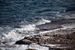 NSW- Les plages à Sydney