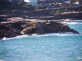 bronte beach 2