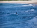 maroubra beach 3