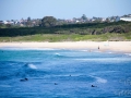 maroubra beach 4