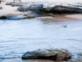 maroubra beach 7