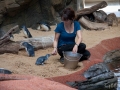Manly Sea Life Sanctuary animatrices pingouuins 2