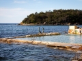 balade manly piscine dans la mer