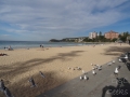 bord de mer manly 2