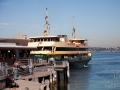 manly ferry