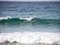 surfeur bord de mer manly 3