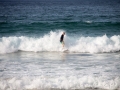 surfeur bord de mer manly