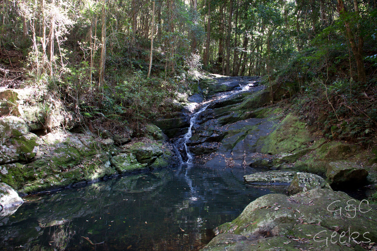 ruisseau en foret kondalilla falls