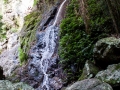 cascades 2 kondalilla falls