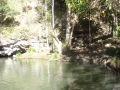 lagoon panorama kondalilla falls