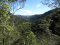 lookout kondalilla falls