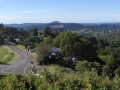 panorama lookout kondalilla falls