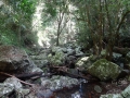 paysage cailloux kondalilla falls