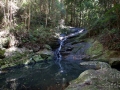 ruisseau en foret kondalilla falls