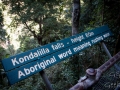 signification kondalilla falls kondalilla falls