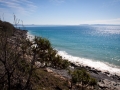 palmiers et mer noosa