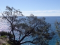 panorama chemin randonnée bord de mer noosa