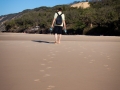 bord de mer balade guillaume dans la sable rainbow beach 2