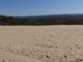 panorama carlo sandblow coté foret