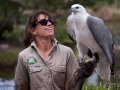 lone pine koala sanctuary spectacle rapace animatrice