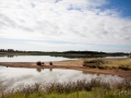 paysage hunter valley