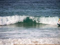 surfeur bord de mer manly 2