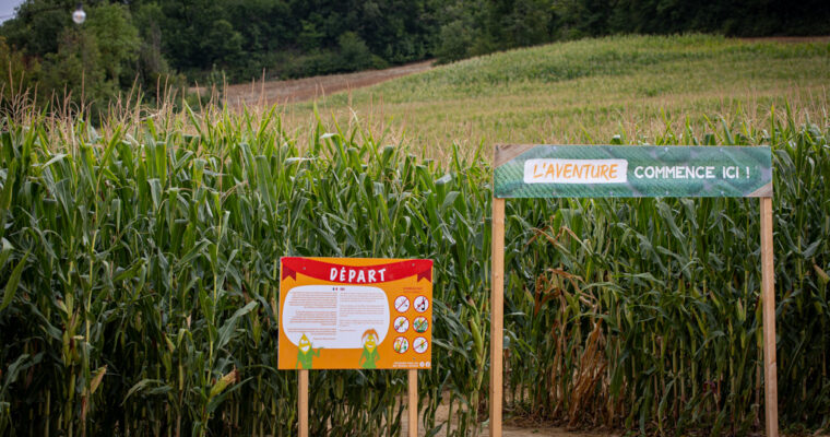 Sortie dans le Gers : Pop Corn Labyrinthe Auch